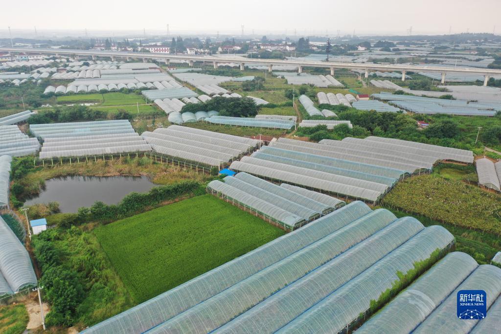 捕鱼游戏破解版内购